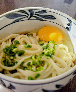 12/3　讃岐うどん - 「あなたに似た花。」