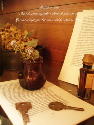 曇天の水曜日とアドベント。 - －bis Noie's Style－