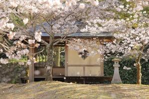 *嬉しい~♡* - 心 色