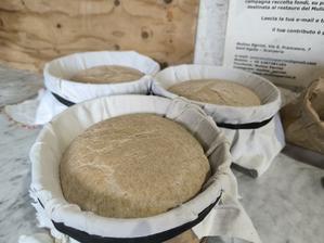 パン焼きの一日と私が好きな時間 - フィレンツェ田舎生活便り２