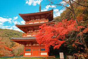 清水寺の紅葉(福岡県みやま市) - 九州ロマンチック街道