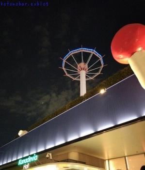 2025 Jang Wooyoung Concert <half half> in Japan、参戦振り返り〜Day1〜 - 転がる石は苔むさないぞ。