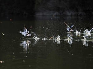 1/365 - WEBにしきんBlog