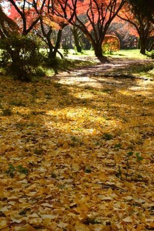 一年365日　京日和 Ⅱ