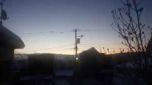 今季初の真冬日になりました - 5号館を出て