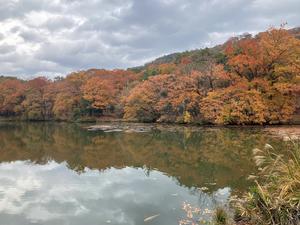 歴史と素適なおつきあい