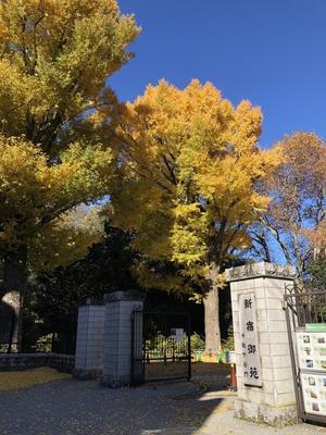 研修旅行引率② - 着物っていいですよね