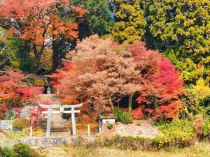 さあ　今日は何する！
