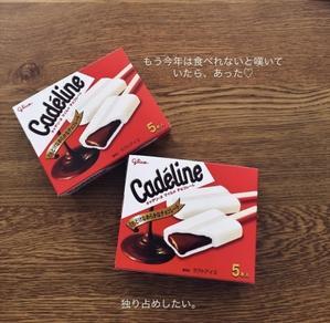 年内最後のキャデリーヌ - ひなたぼっこ。