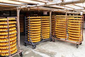 【世界のチーズ紀行】情熱と技術！イタリアチーズ職人、感動の修行体験記 - The Cheese Lab ～知らなかったチーズの世界を開こう～