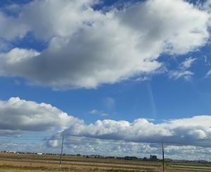 寒くなりました！ - M's Factory