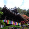 Photo Break - 岡寺と紅葉