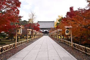 智積院Ⅰ - バリ島大好き