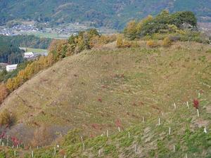 立石山＆姫岳　！ - 山に癒されて