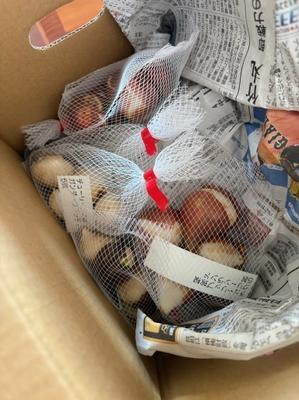 おでんが似合う冬到来 - いちじく日記＊てんかんをご存知？＊