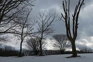 山形県庄内地方おすすめ求人 - 求人タイムス山形