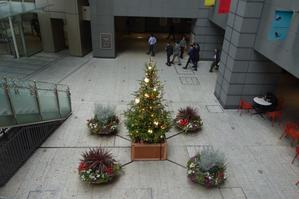 銀杏とクリスマスの季節 - Visitors