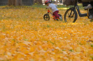 油断禁物(-.-) - 今日もカメラを手に･･･♪　part3