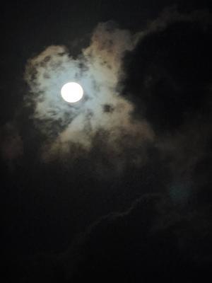 島日和、穏やかな日々の暮らし