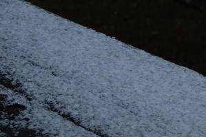 今季の初雪 - 絵本だまり