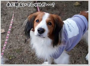 あづみのイルミ！ - くろわんこ日記