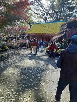日帰りバス旅行に参加　４／４　紅葉の楽寿園を散歩　 - 「美味しい！」が好き