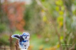 賞 いただきました～♪ - FUNKY'S BLUE SKY