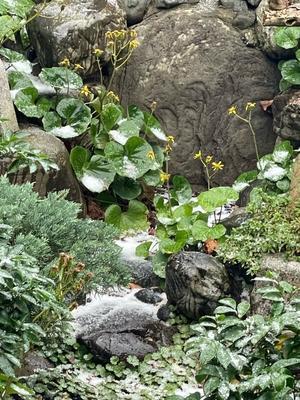 クリスマスの飾り付け - ヨウコのhappy days 2