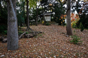 伊丹散歩　土塁跡 - Life with Leica