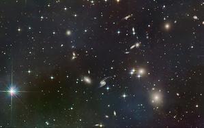 NGC80グループ　塩漬けから救出・・・ - みずがきの森から