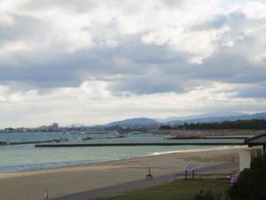 第１回：うみべの森樹木観察会・・・うみべの森を育てる会定例活動日 - 活き生き in 岬町