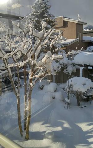 私の夢 - まさかり半島日記