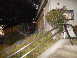 神の木公園ブログ