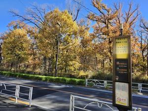 明日は初氷？ら - 土佐婚倶楽部