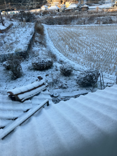 猫と二人の里山暮らし　時々京都