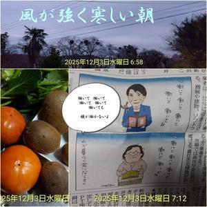 いずれおひとり様　一緒に畑作業をした友を偲ぶ - 小次郎じじ物語