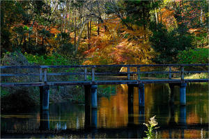 もみじ山 - りゅう太のあしあと