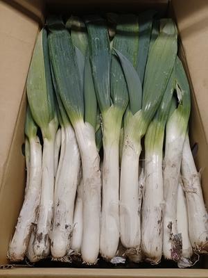 2025/12/05 それでも使い続ける理由 - 東新橋 お弁当のかわの