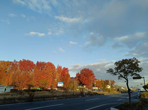 よく歩いたね - つれづれ日記Ⅱ