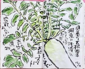 家計にあったかい大根 - 絵手紙の小窓