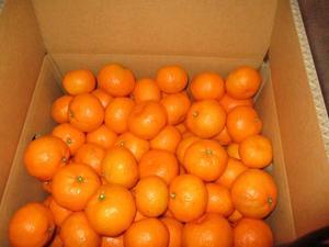 １２月３日「送り」 - 単身赴任だったおじさんの「今晩はこれで飲むぞ」