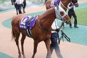 ウォーターリヒト（２５’安田記念９） - 愛しのサラブレッド写真館　