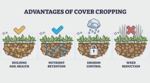 すてきな農業のスタイル