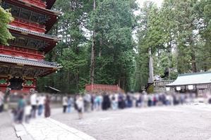 日光プチ観光⑤～東照宮のおさるとネコとドラゴン～♪ - **いろいろ日記**