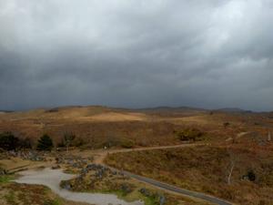 冬になった - 研究者のはしっこ