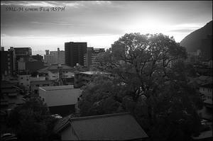 &#128247; Photograph NO.0421 - Cogito, ergo sum   ☕️