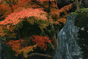 カメラをお供に