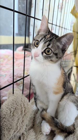 青空☆お日さま☆笑顔