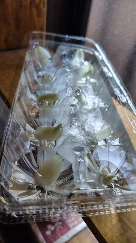 気づいたことを残したいだけ。