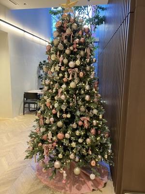 アドリア海を臨み、日々の徒然など